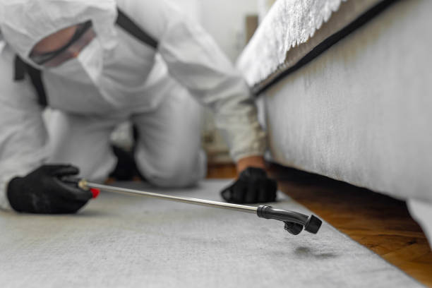 Professional Bed Bug Control technician working in Oak Ridge North, TX