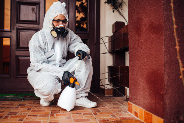 Reliable Bed Bug Control contractor in Oak Ridge North, TX by Nex Pest Control